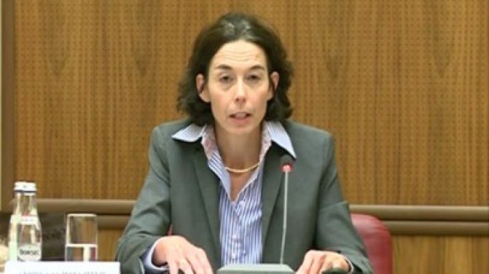 Şeful misiunii FMI: Reducerea CAS nu e bugetată pe 2014, ar trebui lărgită baza şi alte măsuri